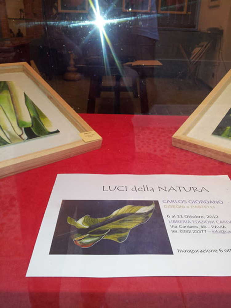 Luci della Natura - immagine 2